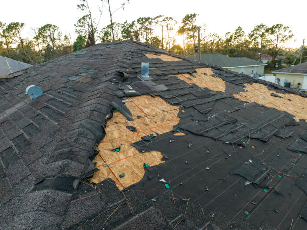 Best Asphalt Shingle Roofing  in Seven Corners, VA