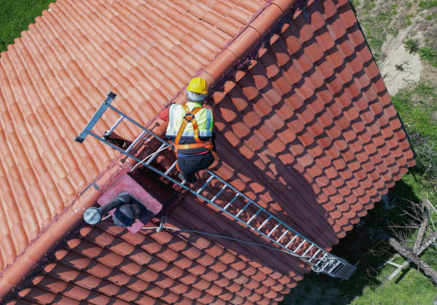 Best Roof Moss and Algae Removal  in Seven Corners, VA